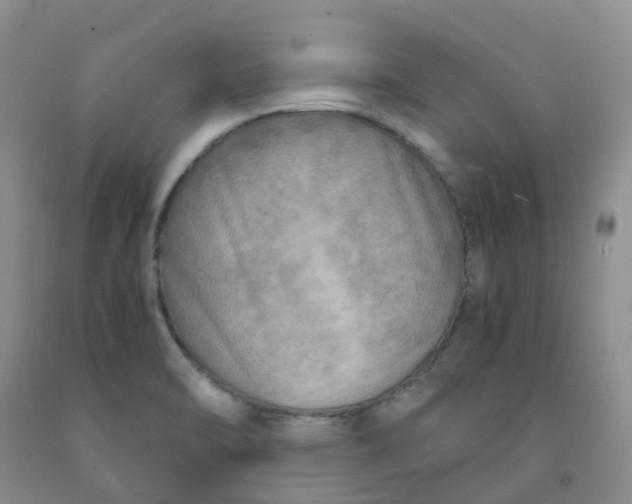 X0000091981470200709201416