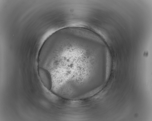 X0000091981471200709201416