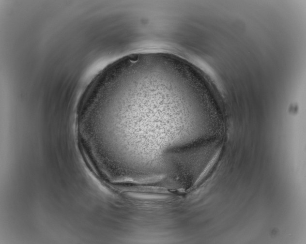 X0000091981472200709201416