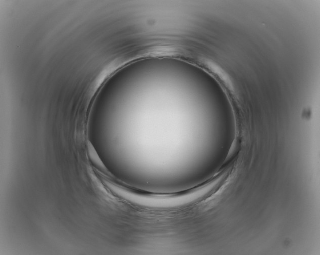 X0000091981473200709201416