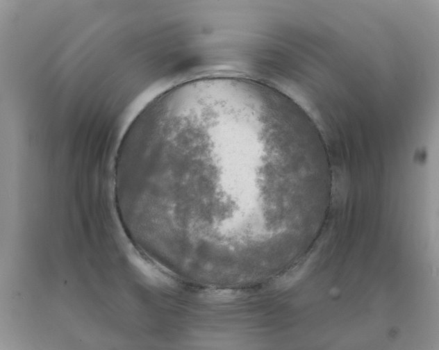 X0000091981474200709201416