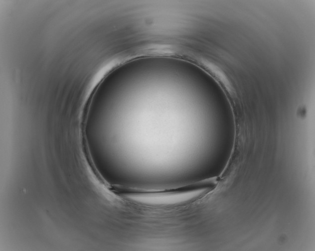 X0000091981475200709201416