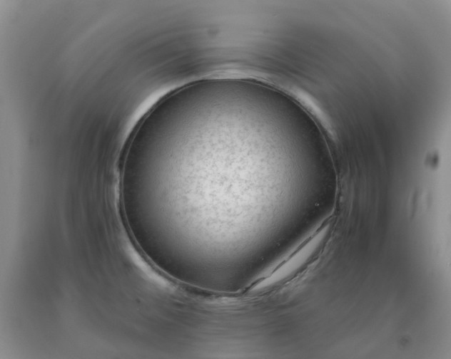 X0000091981476200709201416