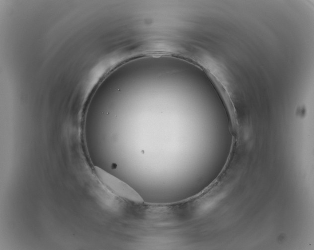 X0000091981477200709201416