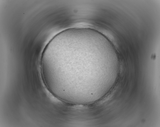 X0000091981478200709201416