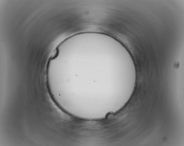 X0000091981479200709201416