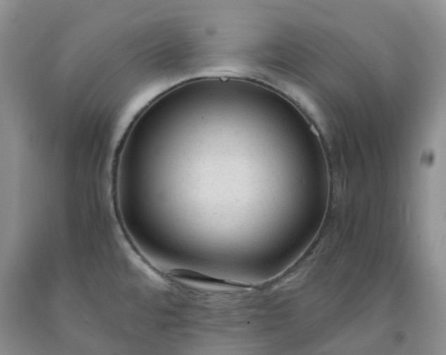 X0000091981480200709201416