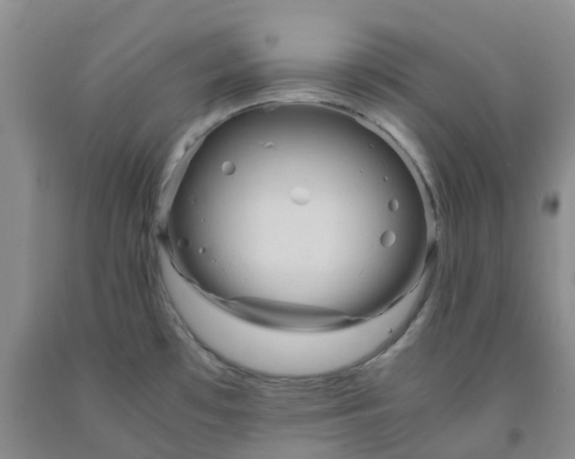 X0000091981481200709201416