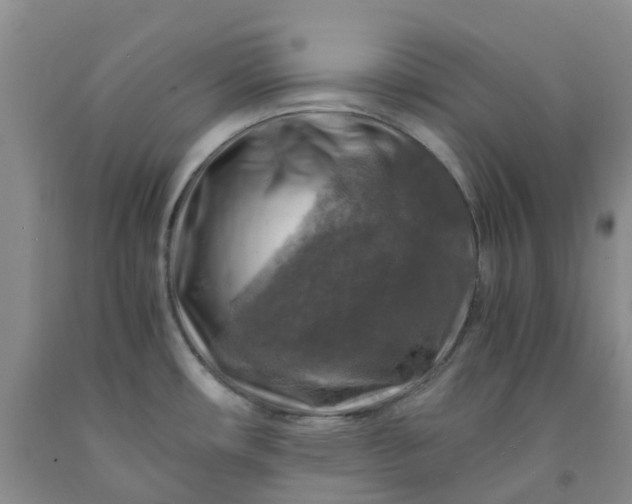 X0000091981482200709201416