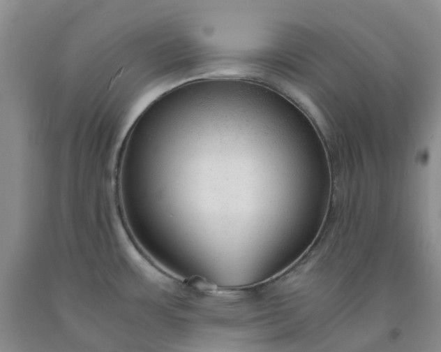 X0000091981483200709201416