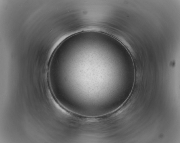 X0000091981484200709201416