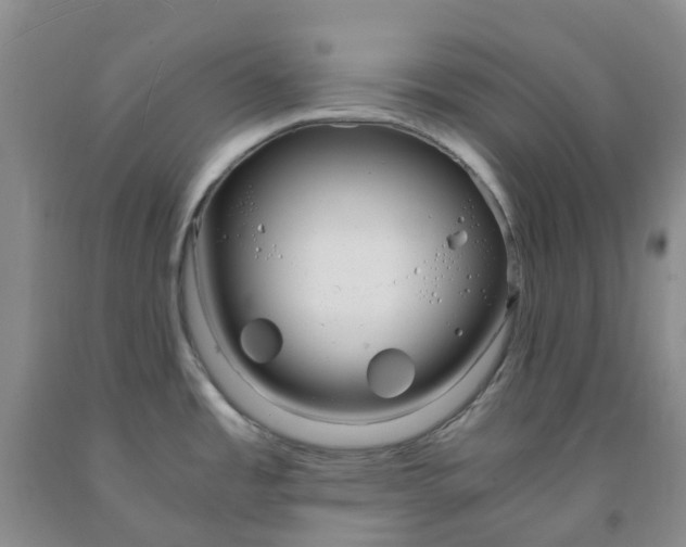 X0000091981485200709201416