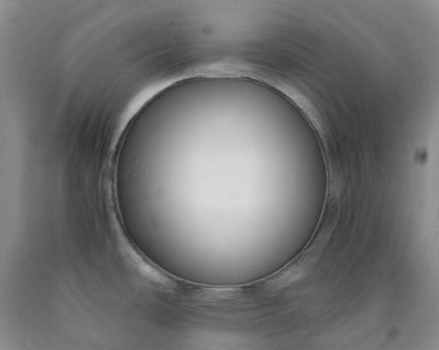 X0000091981486200709201416