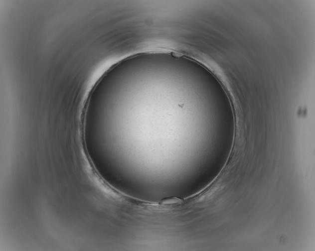 X0000091981488200709201416