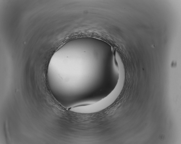 X0000091981489200709201415