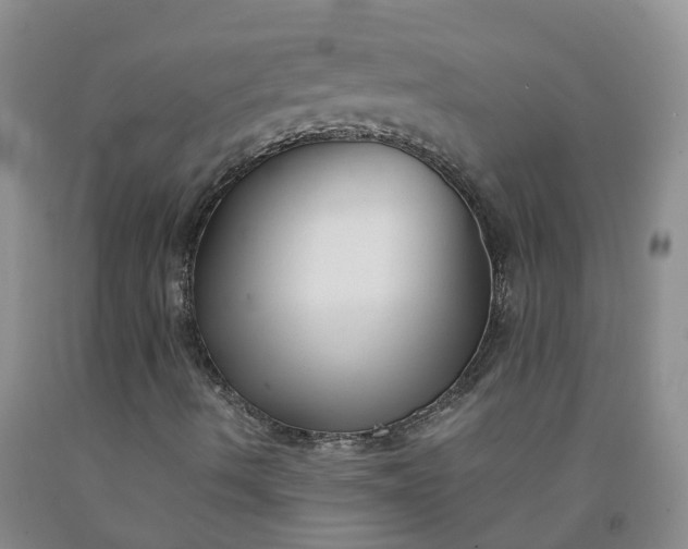 X0000091981490200709201415