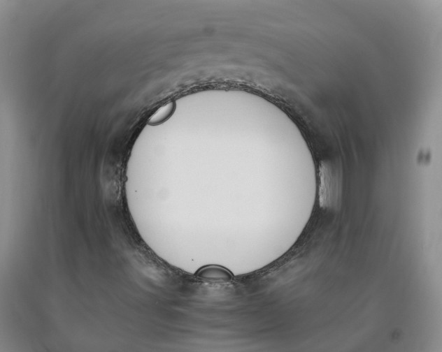 X0000091981491200709201415