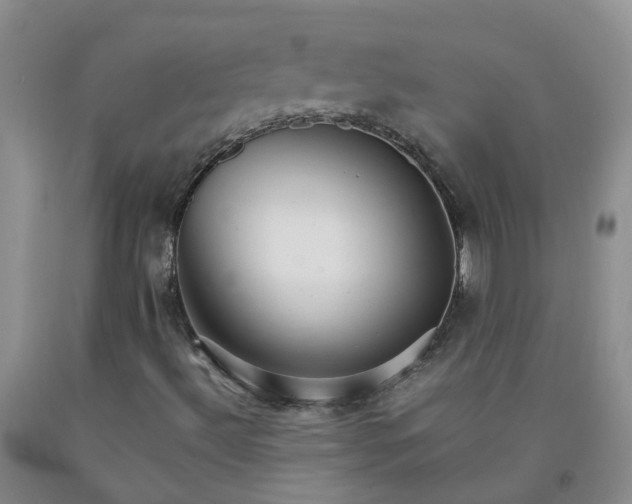 X0000091981492200709201415