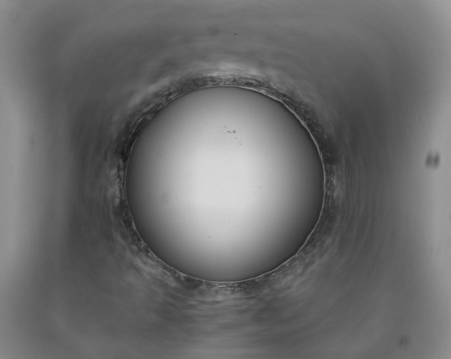 X0000091981493200709201415