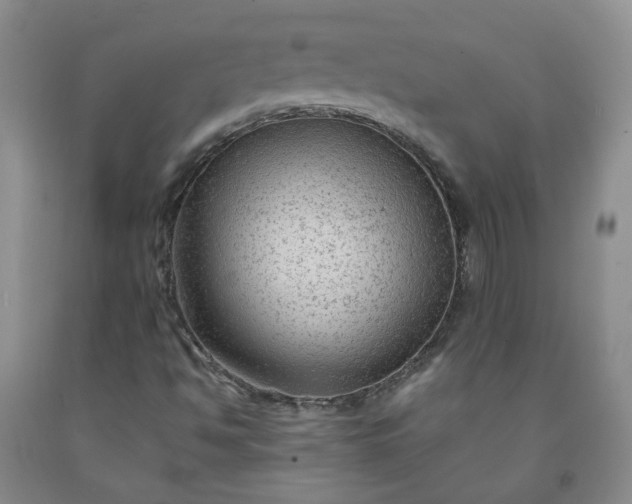 X0000091981494200709201415