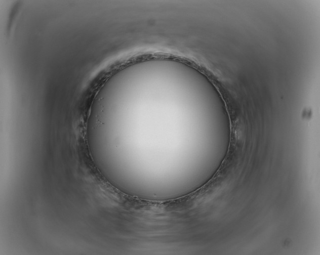 X0000091981495200709201415