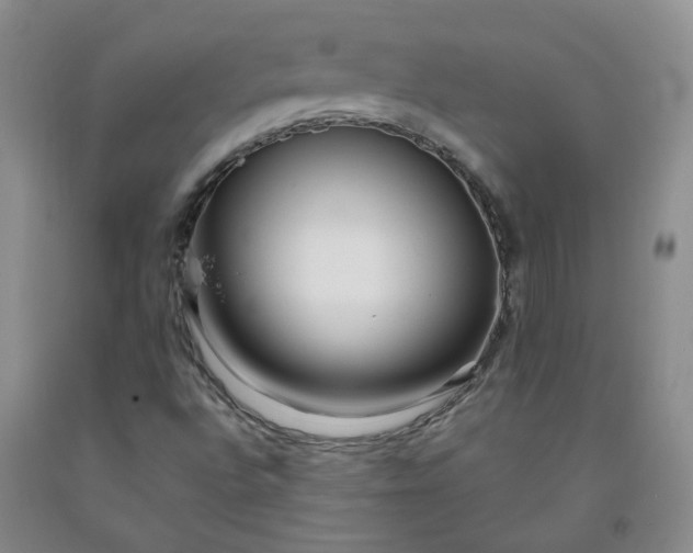 X0000091981496200709201415