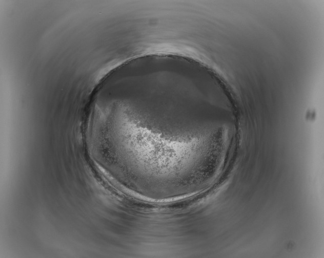 X0000091981497200709201415