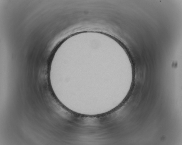 X0000091981498200709201415