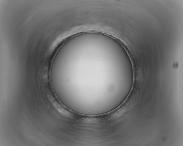 X0000091981499200709201415