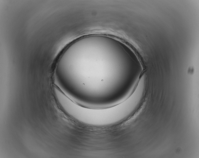 X0000091981501200709201415