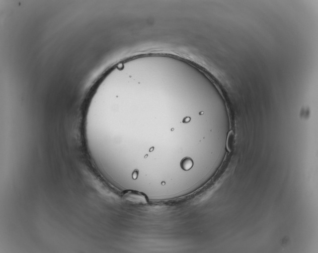 X0000091981502200709201415