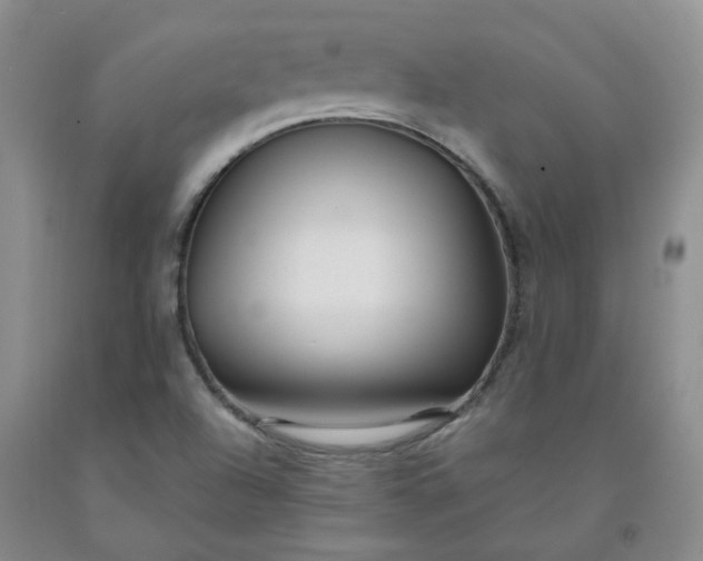 X0000091981504200709201415