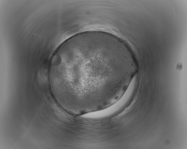 X0000091981505200709201415