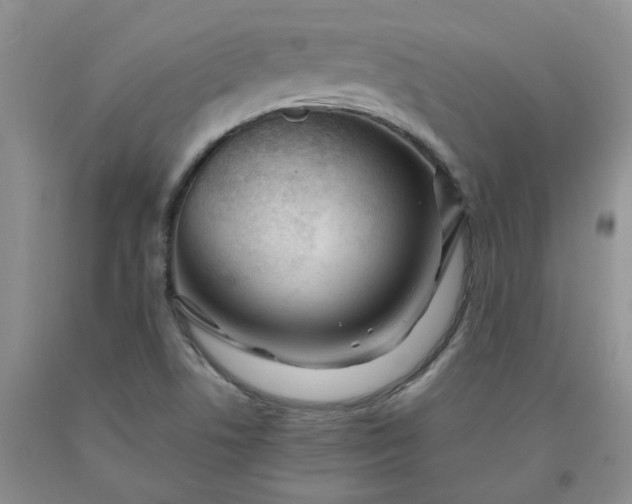 X0000091981506200709201415