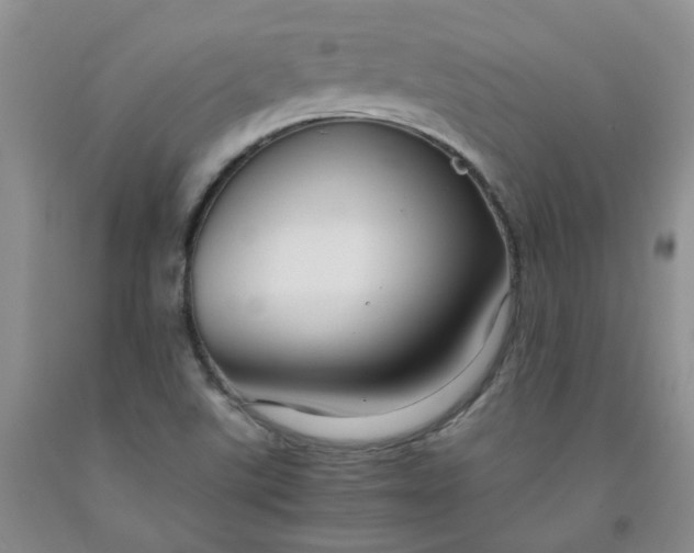 X0000091981507200709201415