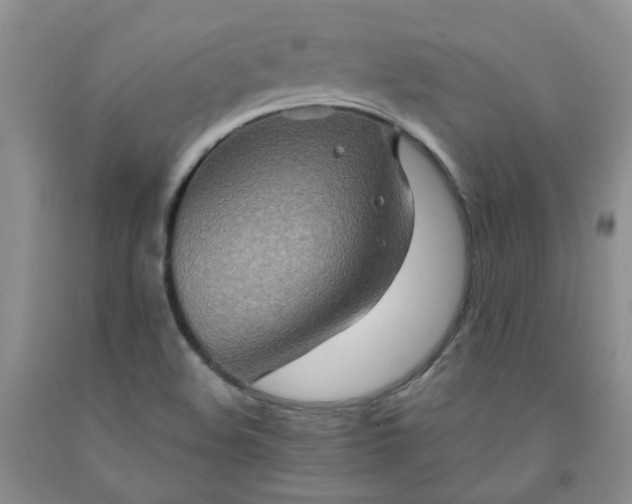 X0000091981508200709201415