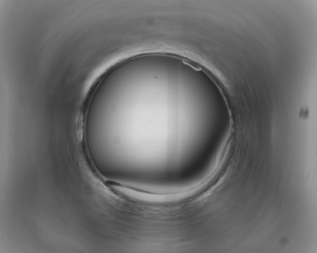 X0000091981510200709201415