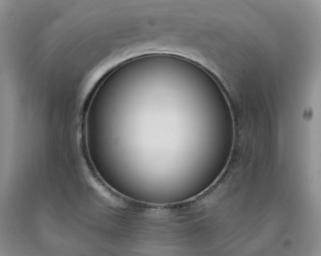 X0000091981511200709201415