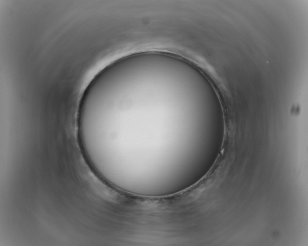 X0000091981512200709201416