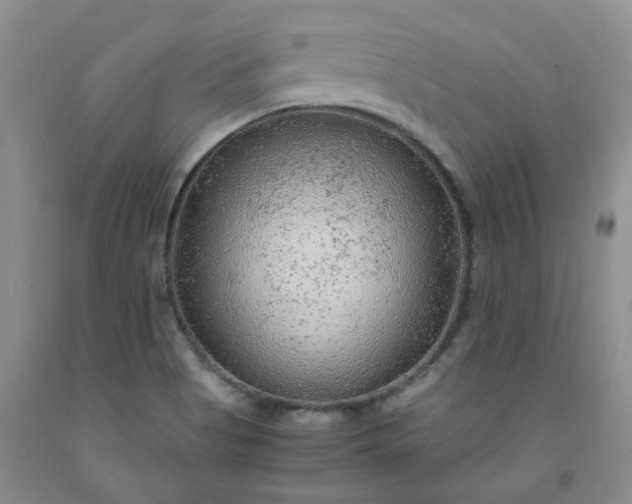 X0000091981513200709201416