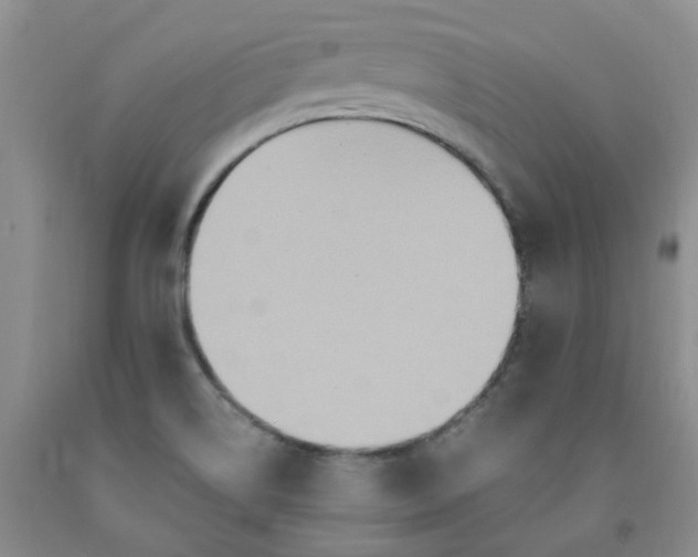 X0000091981514200709201416