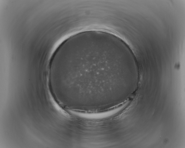 X0000091981515200709201416