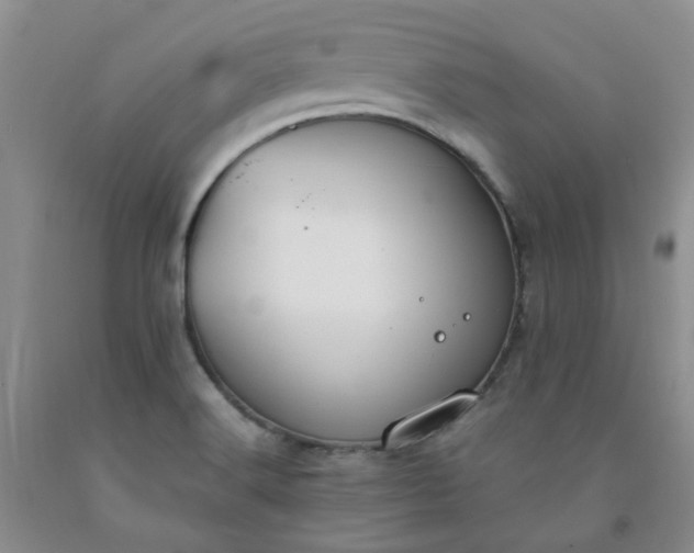 X0000091981516200709201416