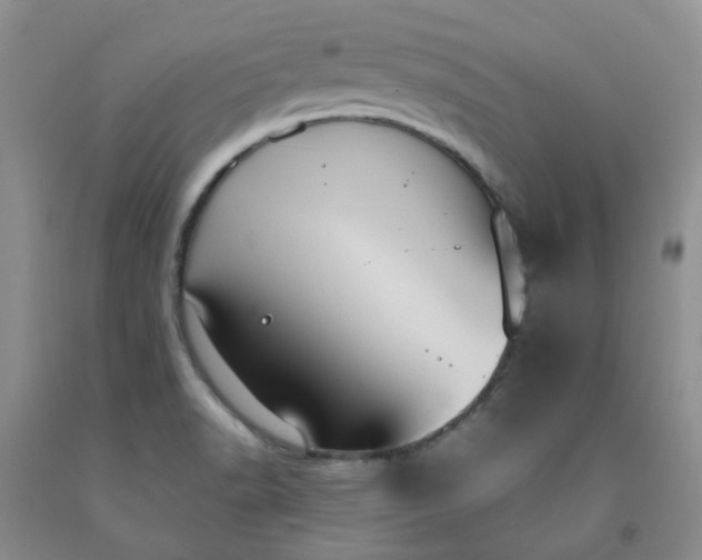 X0000091981518200709201416