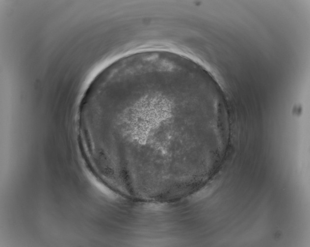 X0000091981519200709201416