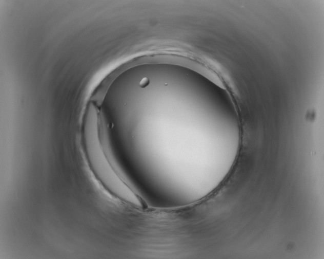 X0000091981520200709201416