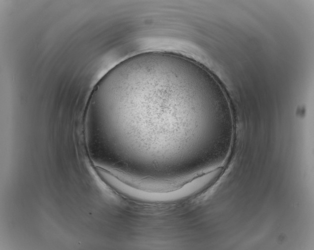 X0000091981521200709201416