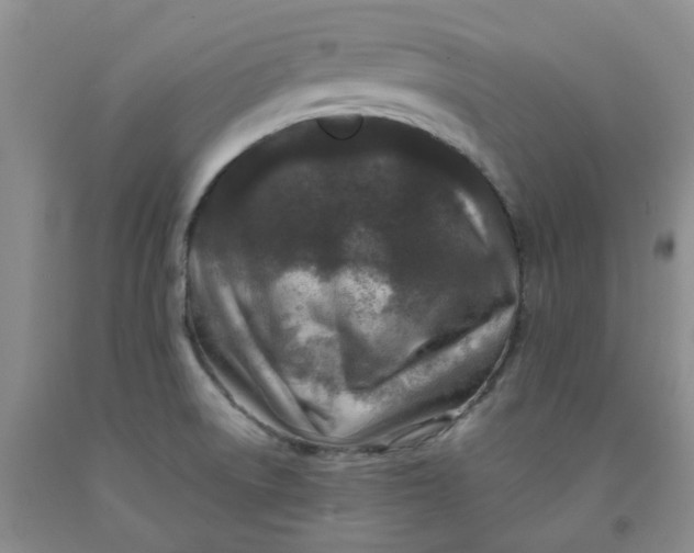 X0000091981522200709201416