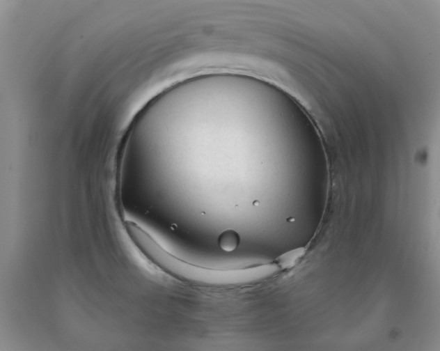 X0000091981523200709201416