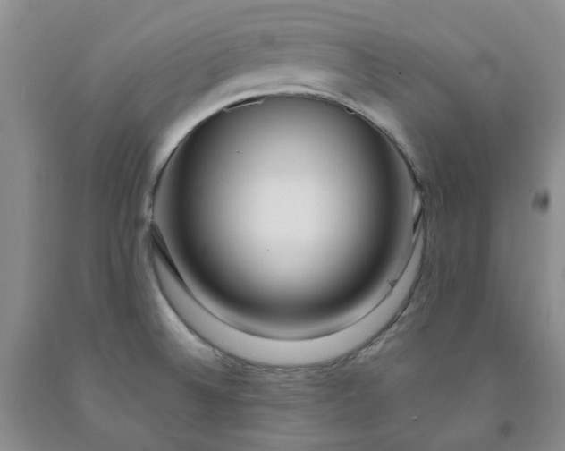 X0000091981524200709201416